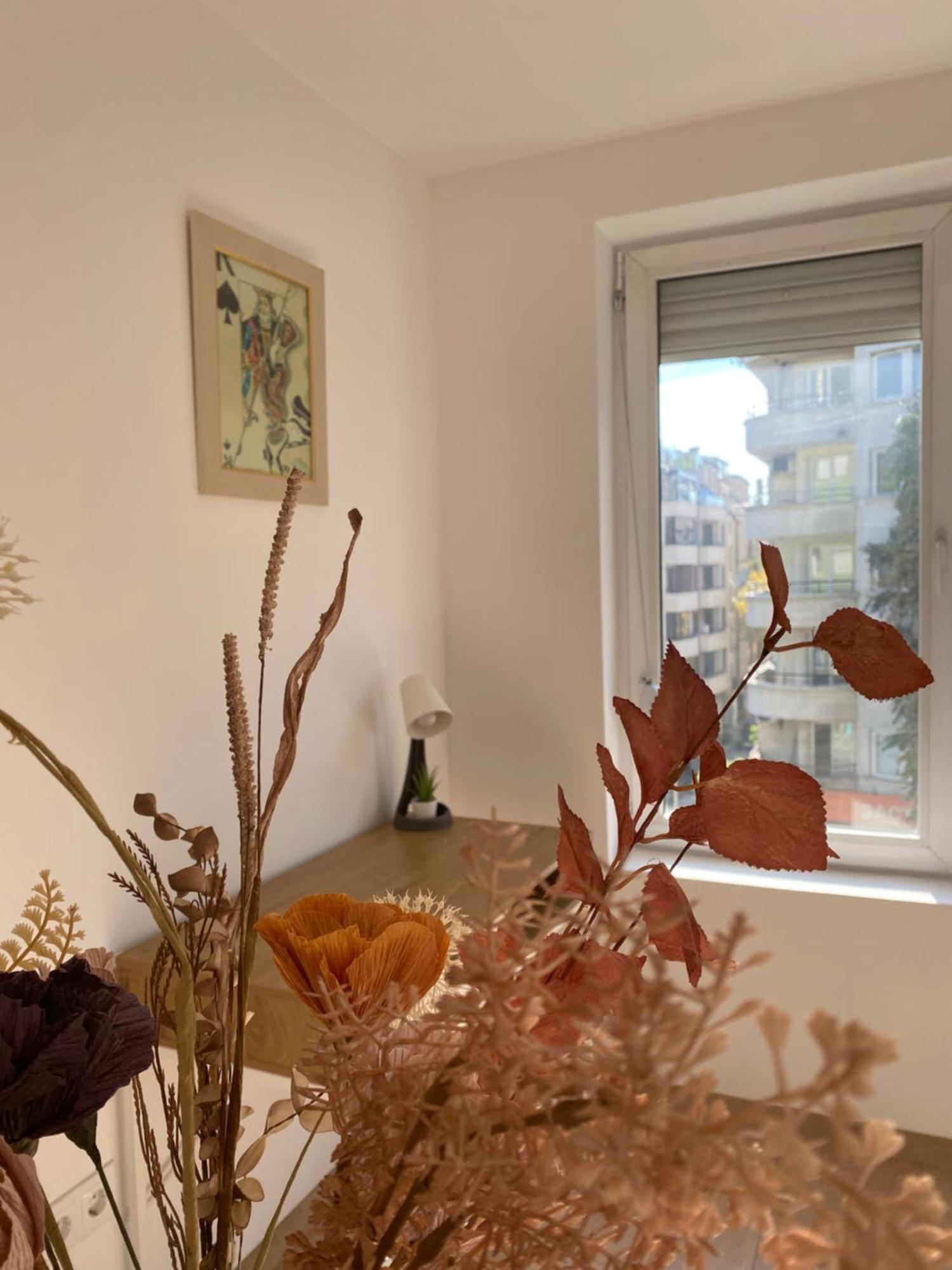Sophie Studio - City Center Blagoevgrad Buitenkant foto
